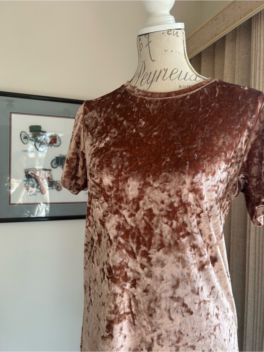 Plush Short-Sleeve Velvet Shift Dress in Mauve Brown - Picture 2 of 4